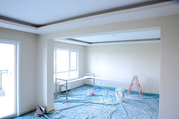 Best Ceiling Drywall Installation  in Charles City, IA